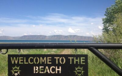 Ile płacą w Żabce i od czego to zależy?